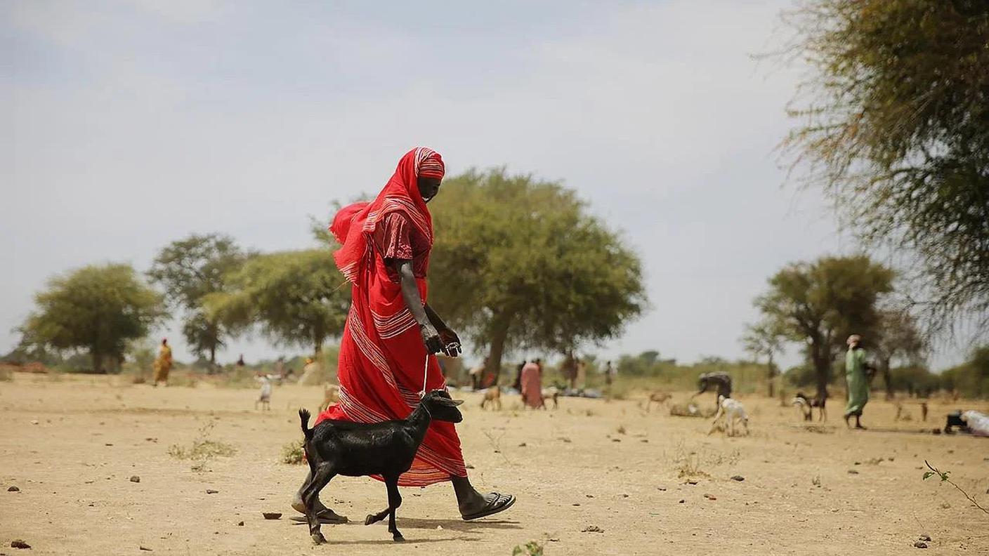 immagine Sudan