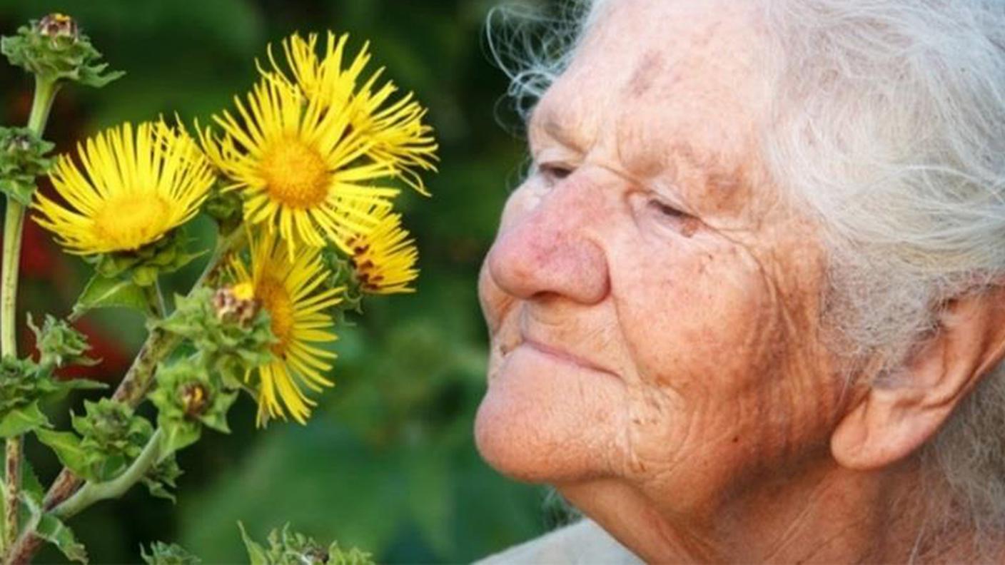 cure pallitative