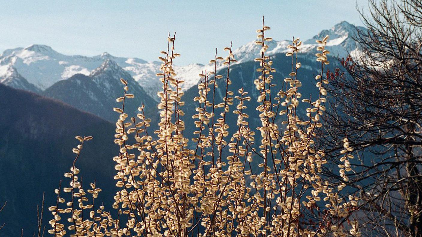 Val Calanca