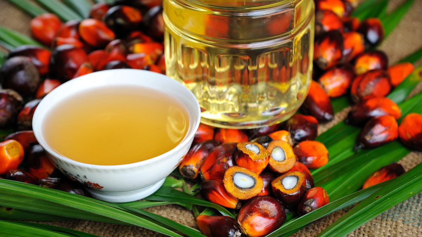 olio di palma, semi, olio