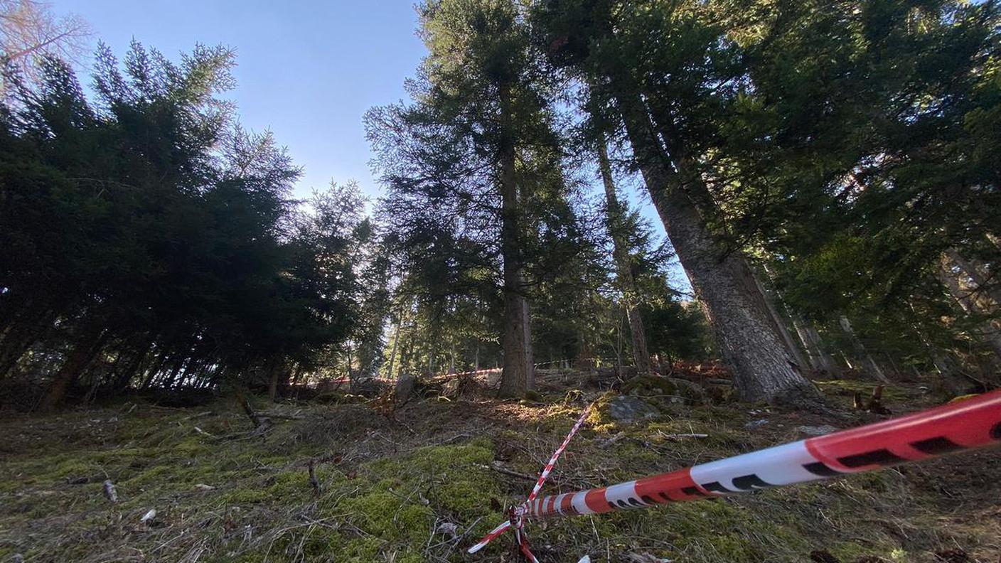 Attacco mortale da parte di un orsa, Trentino aprile 2023.jpg