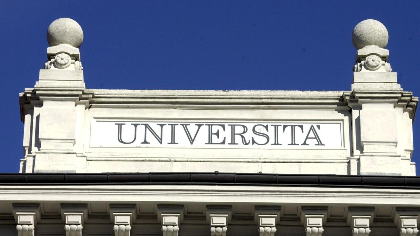 Università