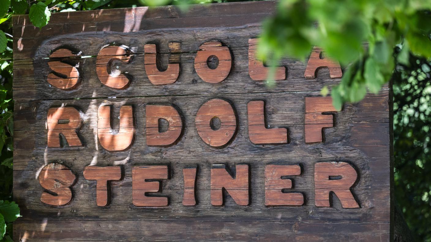 Steiner