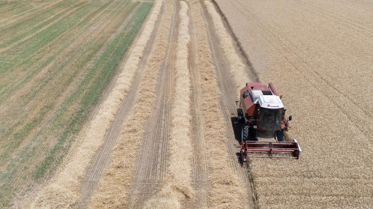 Nella foto una trebbiatrice al lavoro in un campo agricolo