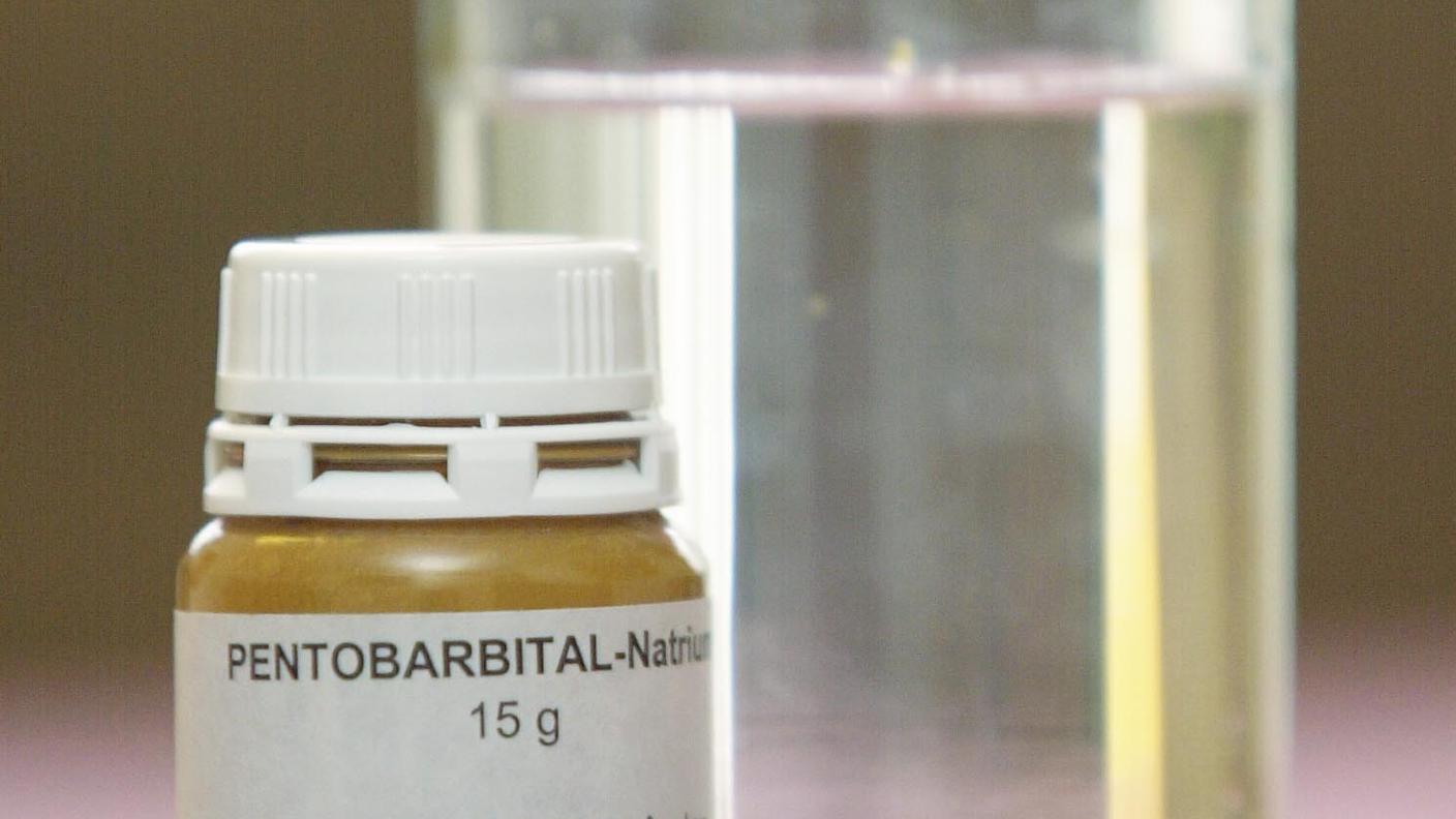 suicidio assistito.jpg