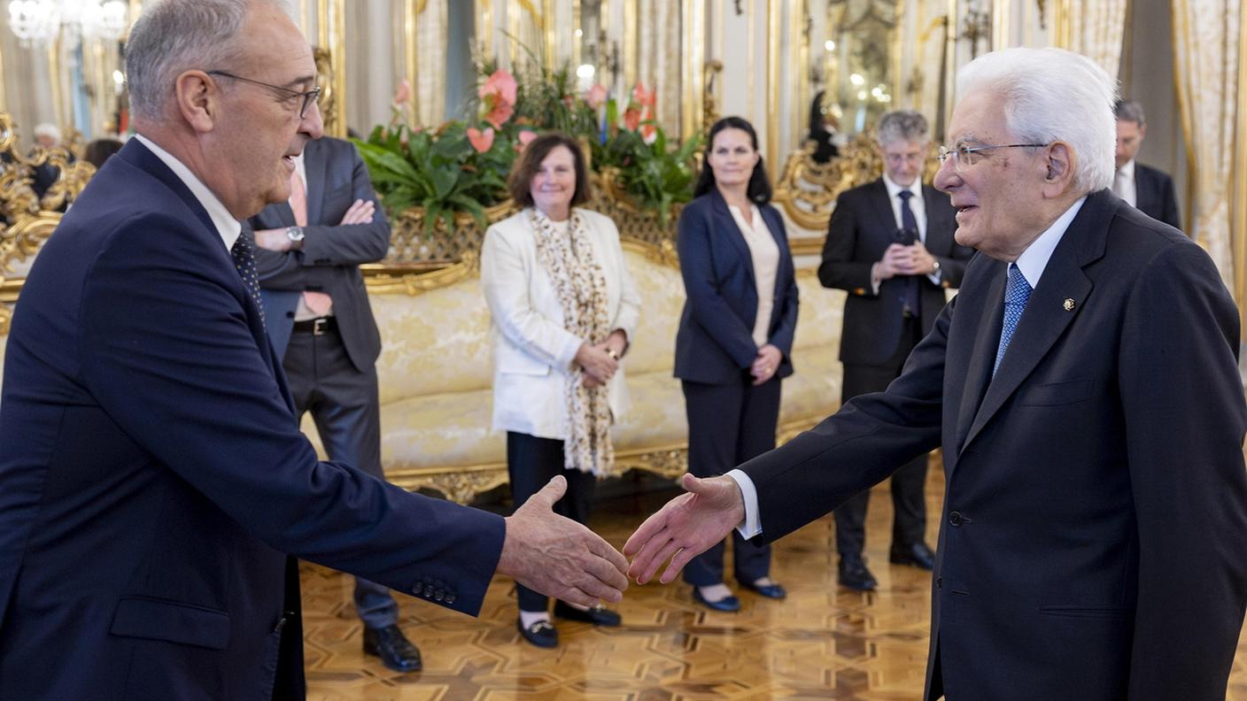 PARMELIN SEIDISERA .jpg