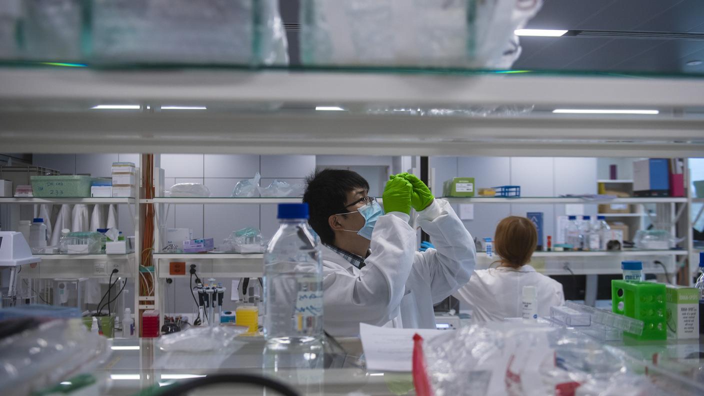 Un ricercatore dell'IRB di Bellinzona al lavoro