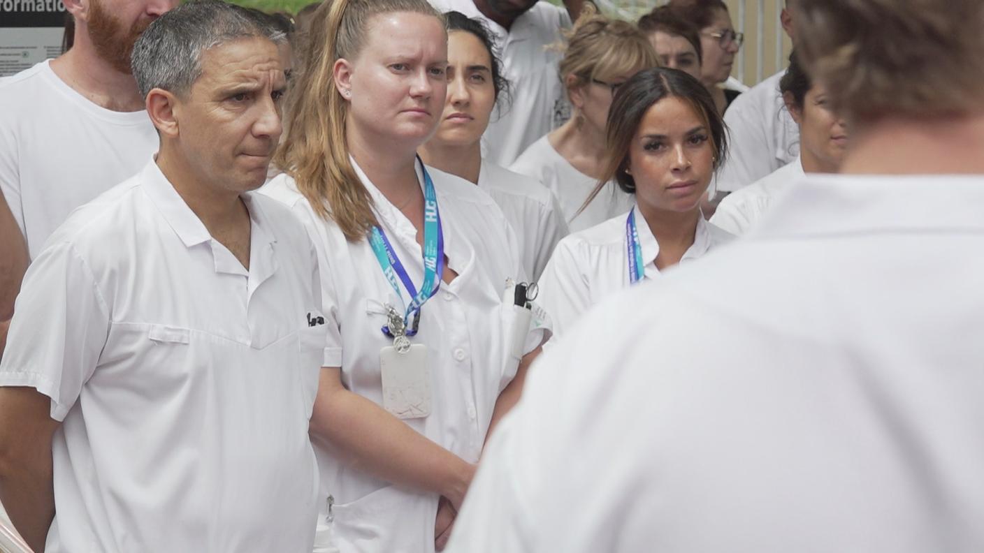 Seidisera ospedali canicola .JPG
