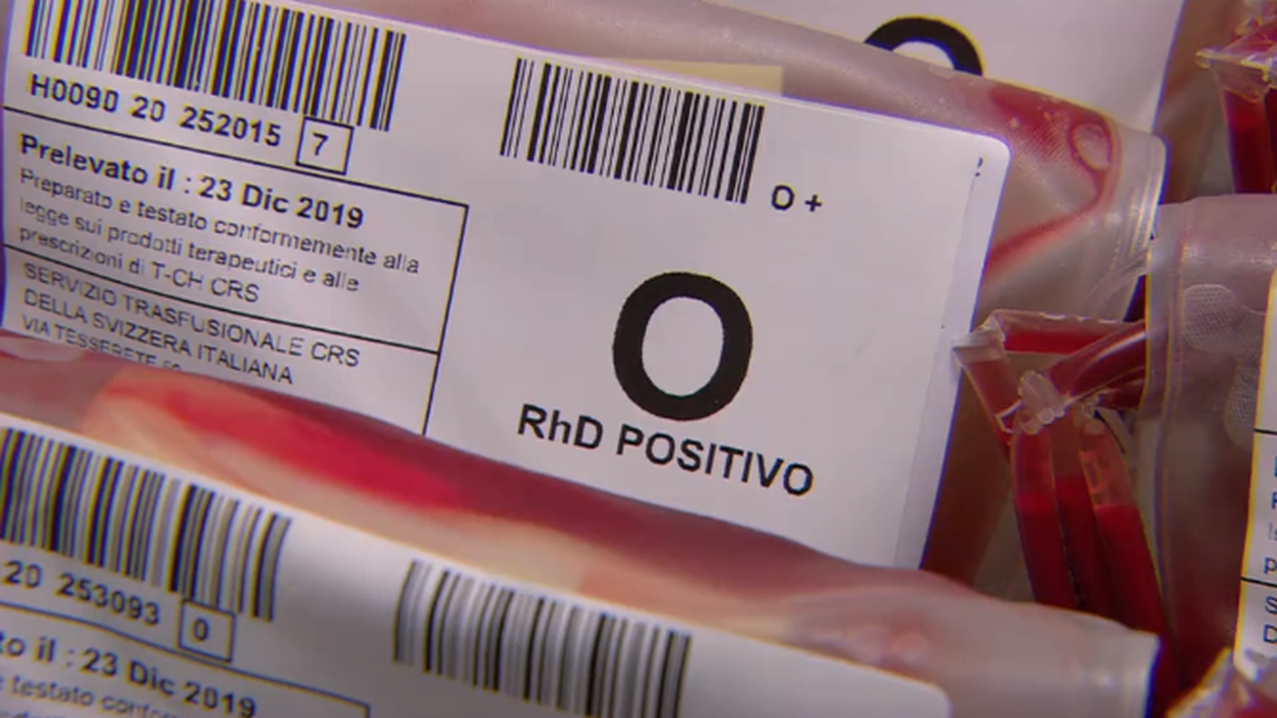 sangue.png
