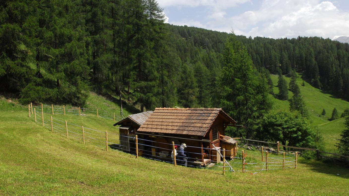Tschierv Val Mustair.jpg