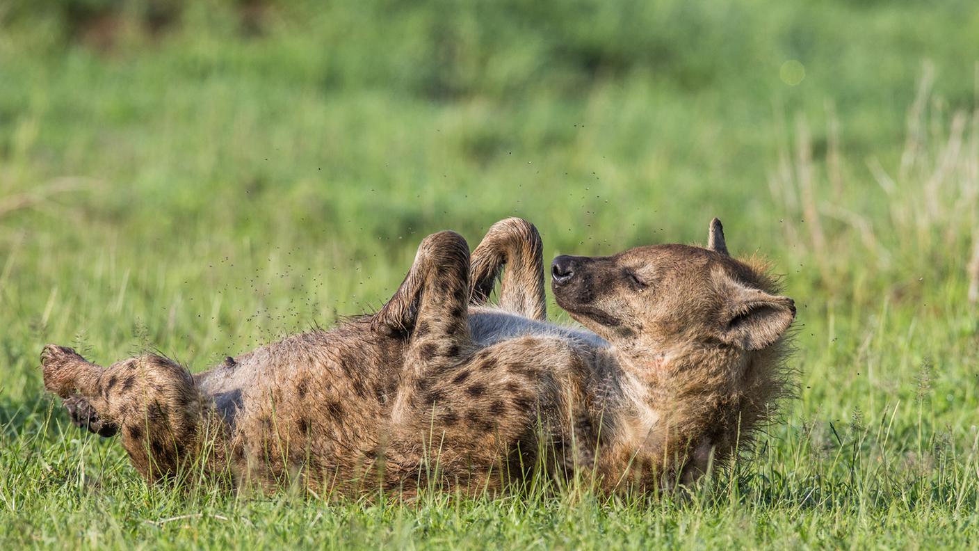 iStock-Iena Africana 