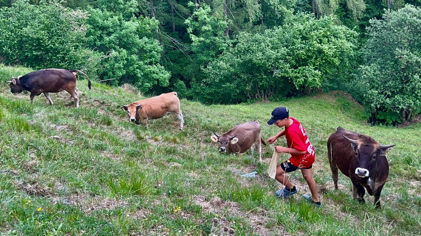 Casa Svizzera on tour: in diretta da Viano, Valposchiavo