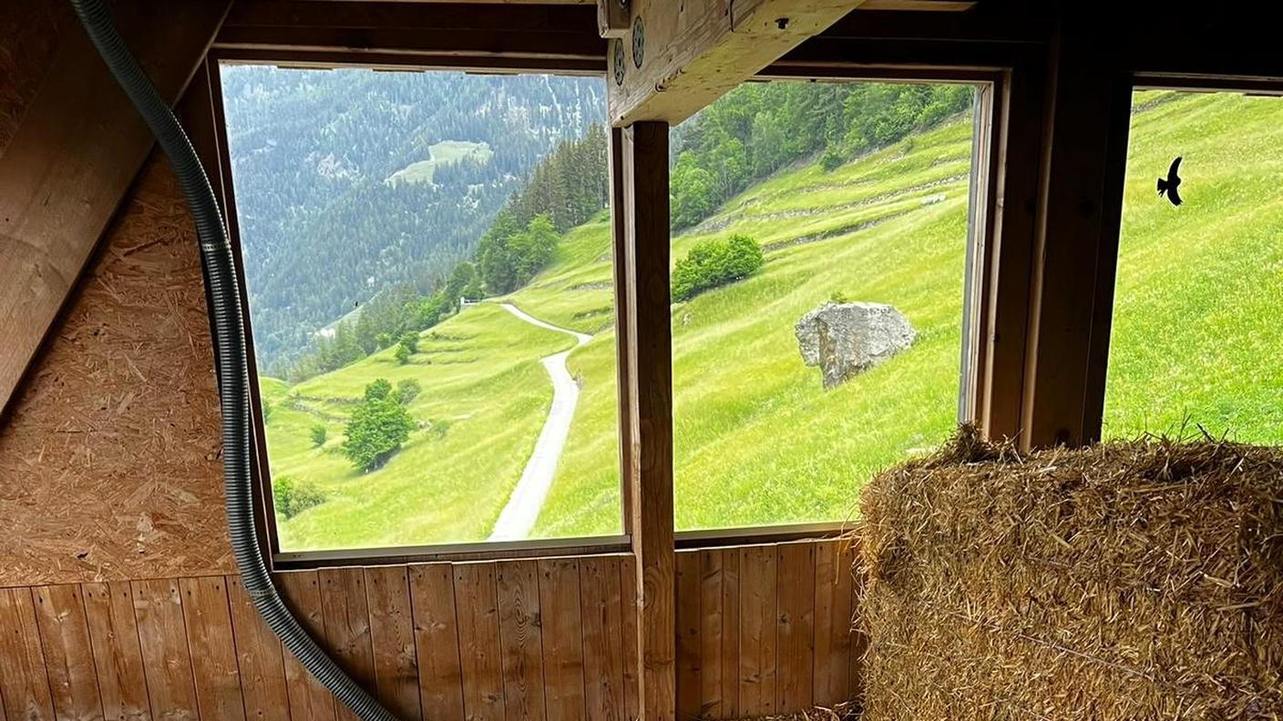 Casa Svizzera on tour: in diretta da Viano, Valposchiavo