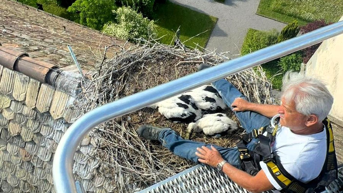 Casa Svizzera on tour: in diretta da Uznach, nel paese delle cicogne