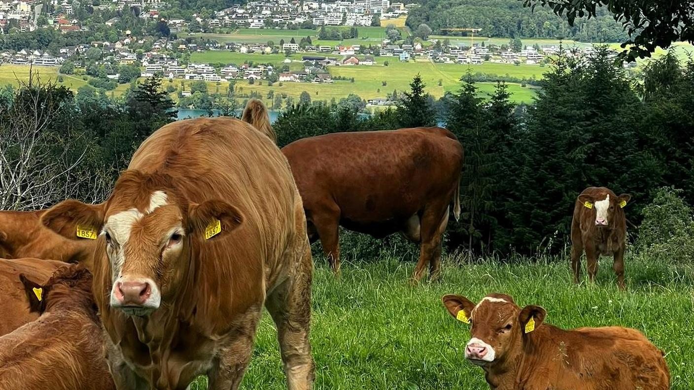 Casa Svizzera on tour: in diretta dall’Appenzello