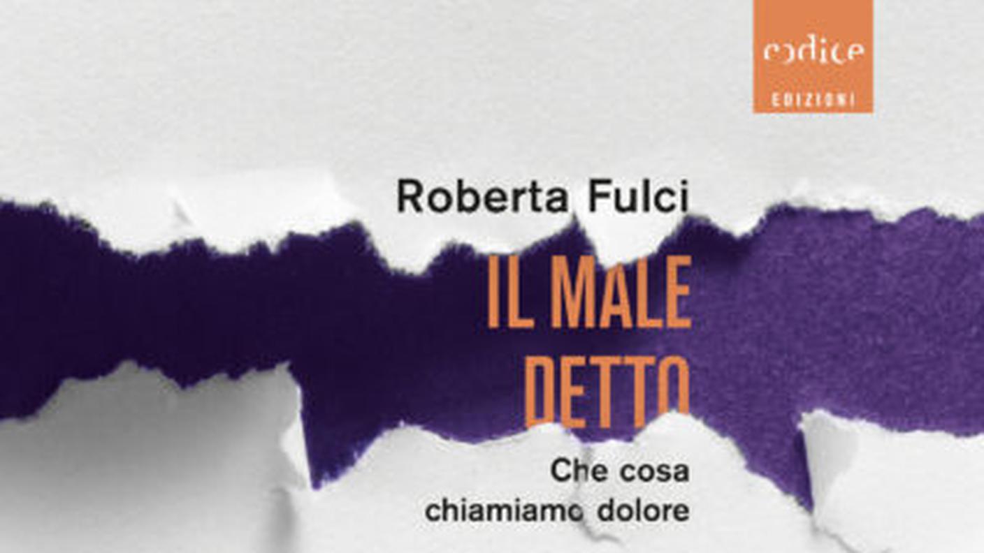 "Il male detto. Che cosa chiamiamo dolore" di Roberta Fulci, Codice edizioni (dettaglio di copertina)