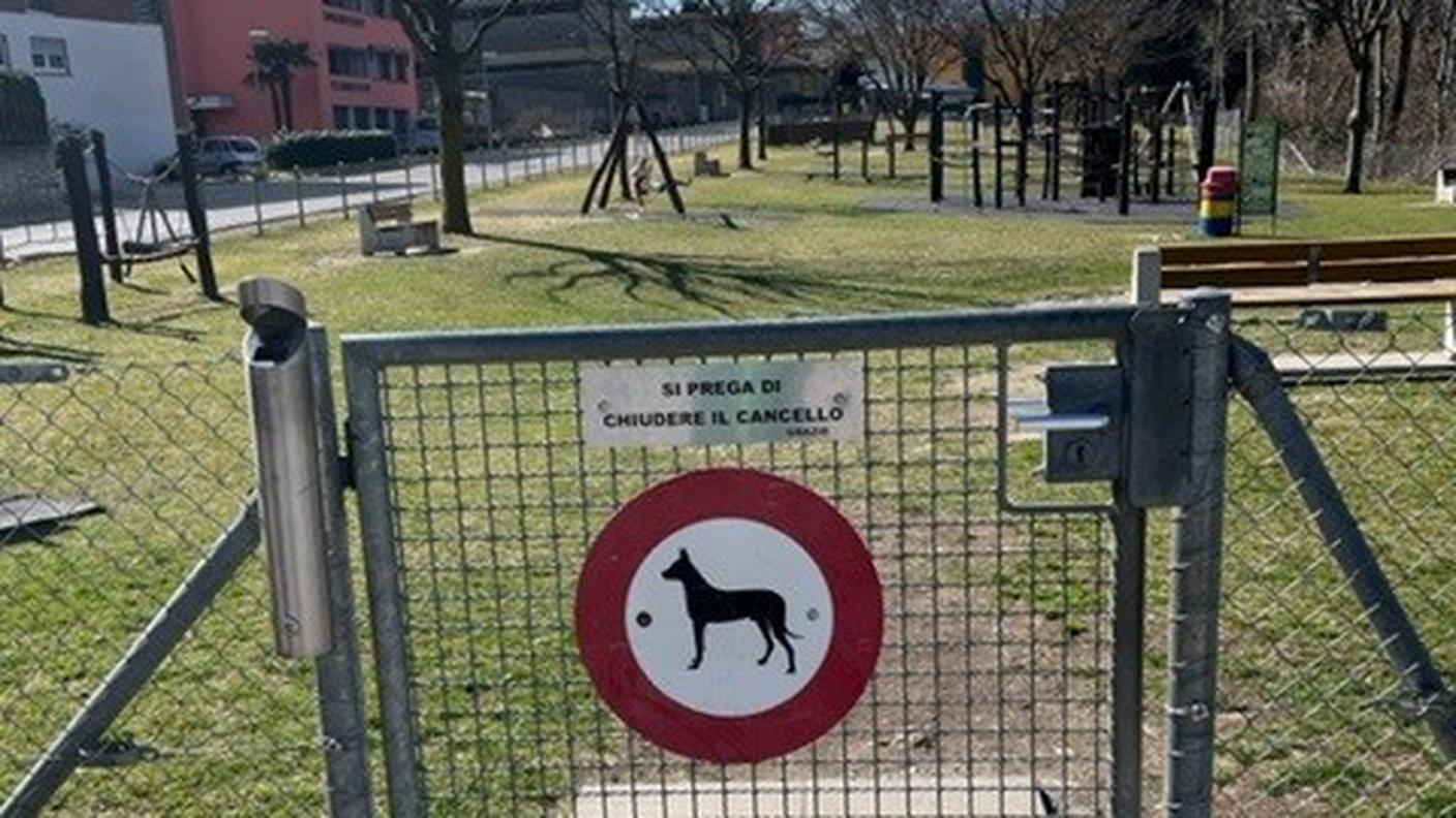 Accesso vietato ai cani, cartello