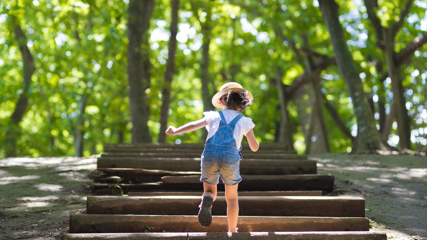 Bambina che sale le scale nel bosco