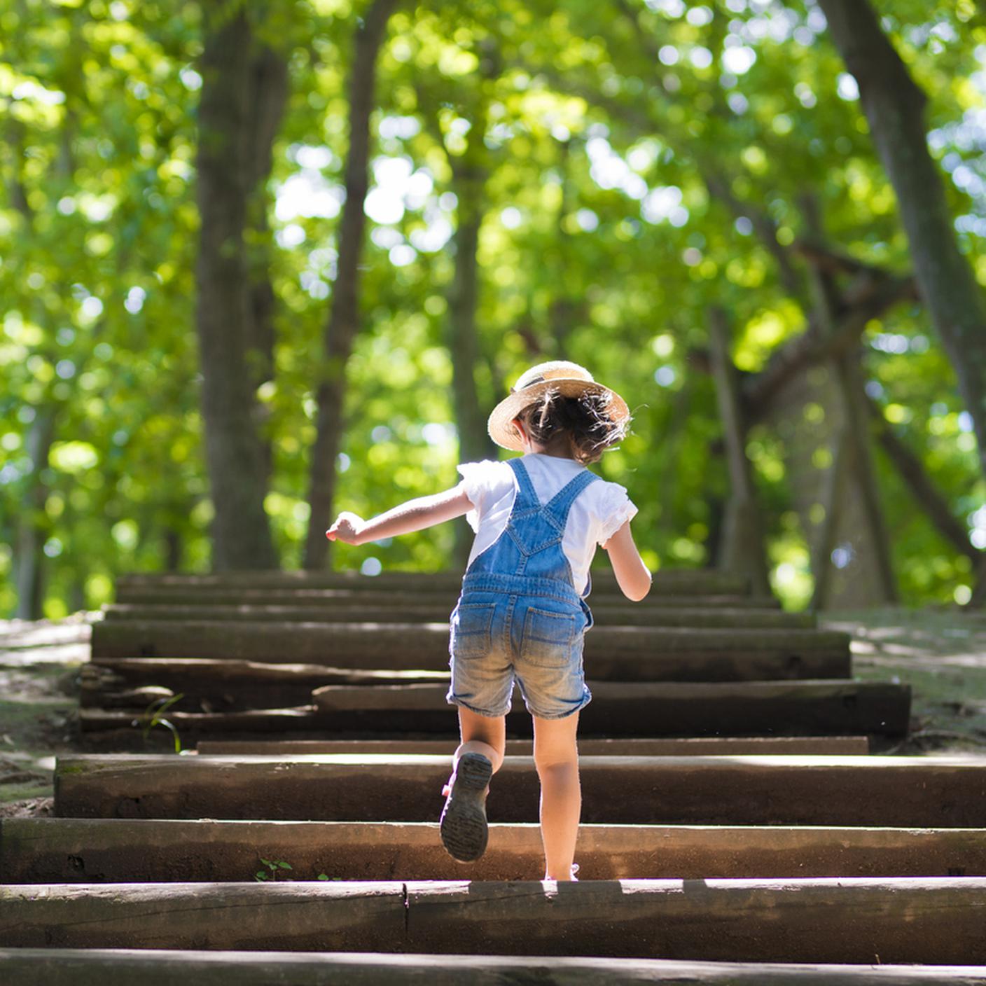 Bambina che sale le scale nel bosco