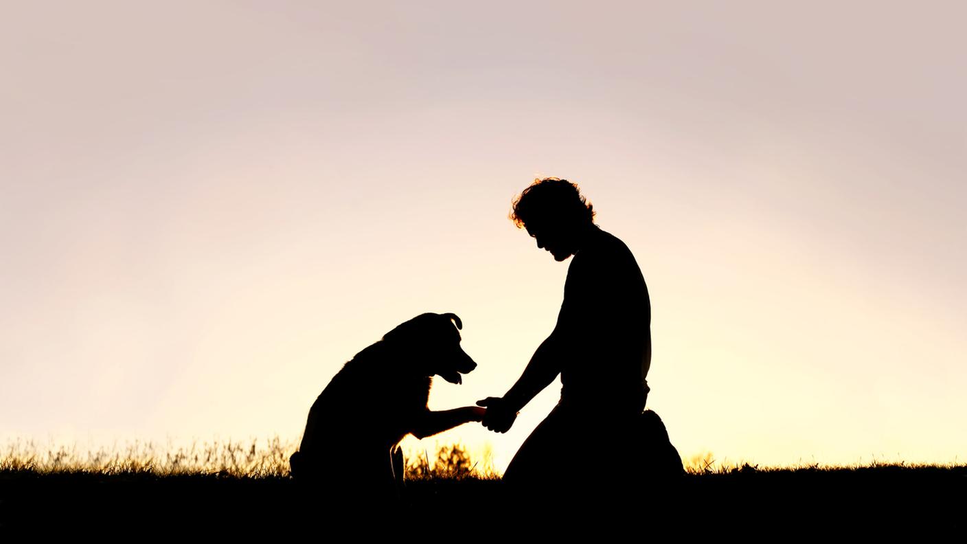 uomo e animale