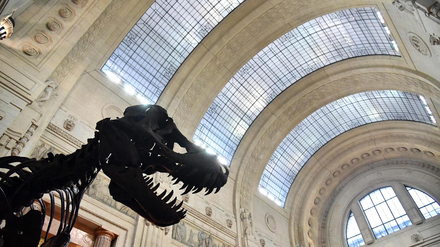 Ritrovata in Galles un'impronta di dinosauro perfettamente conservata