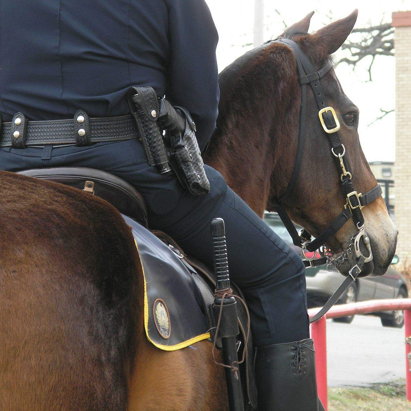 polizia a cavallo