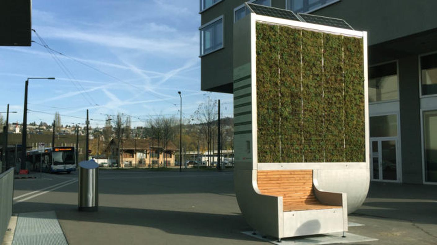 CityTree