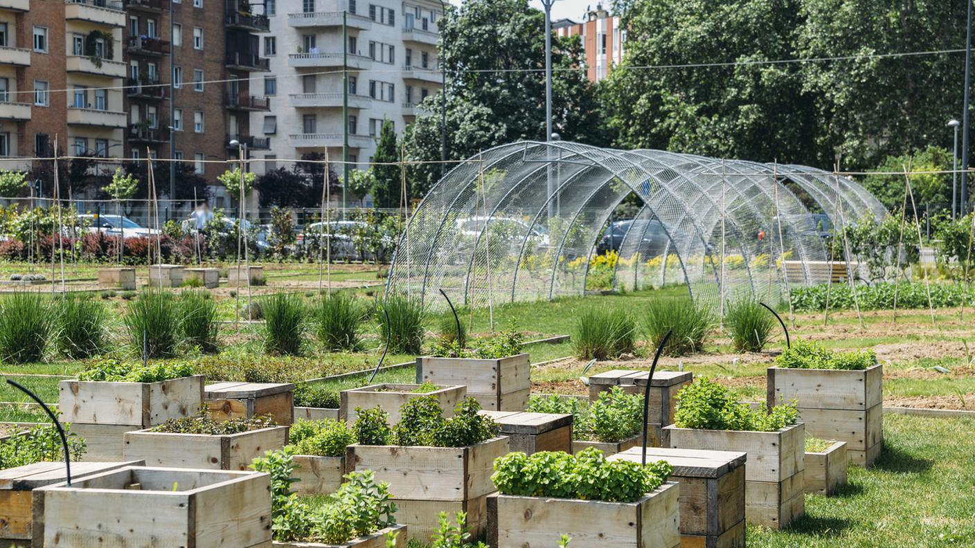 orti in città