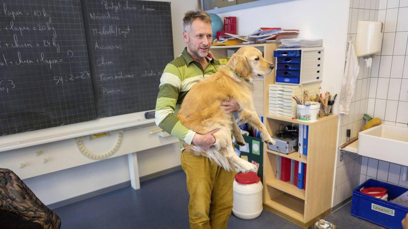Cani protagonisti in classe