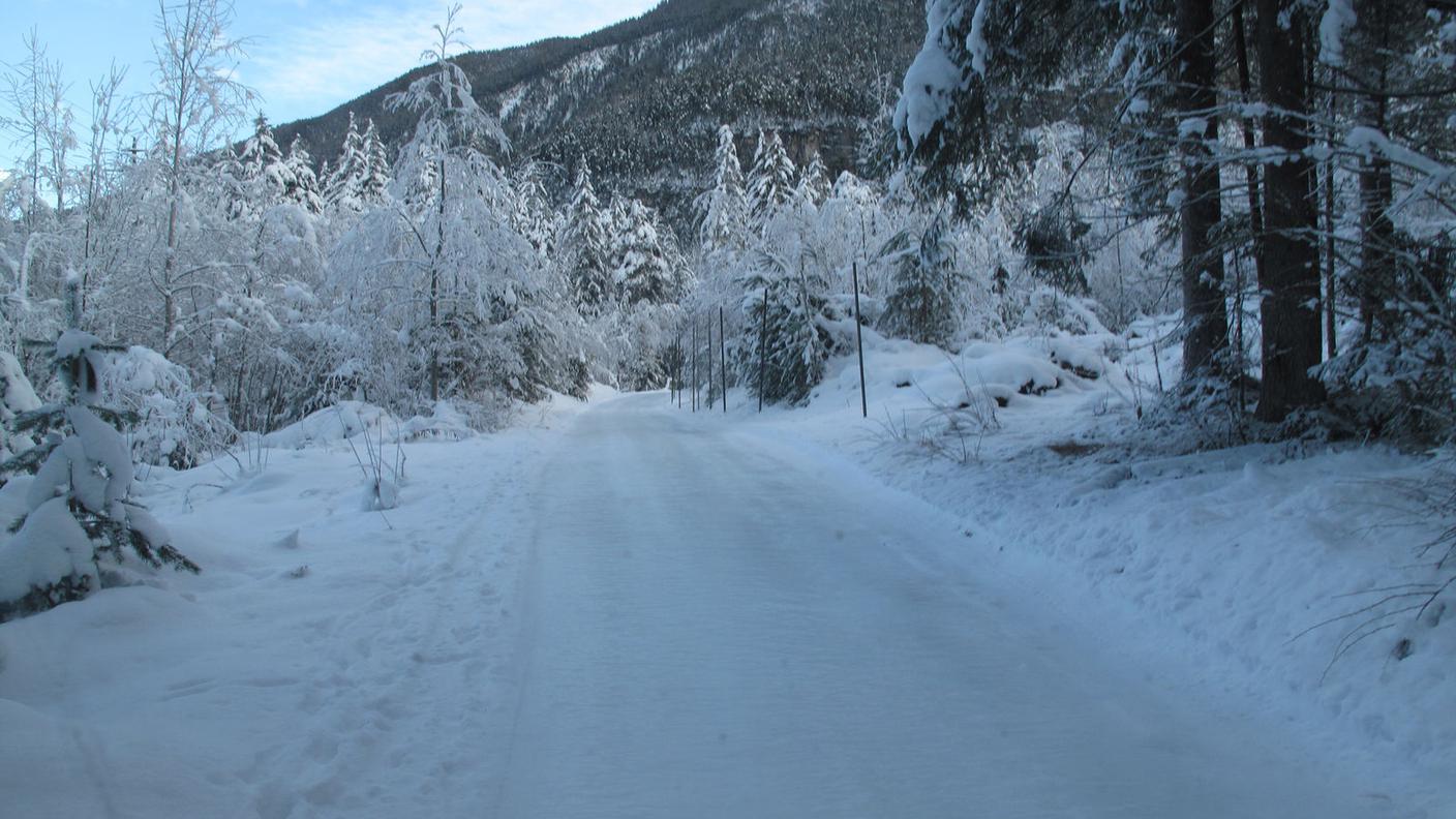 Che freddo! 