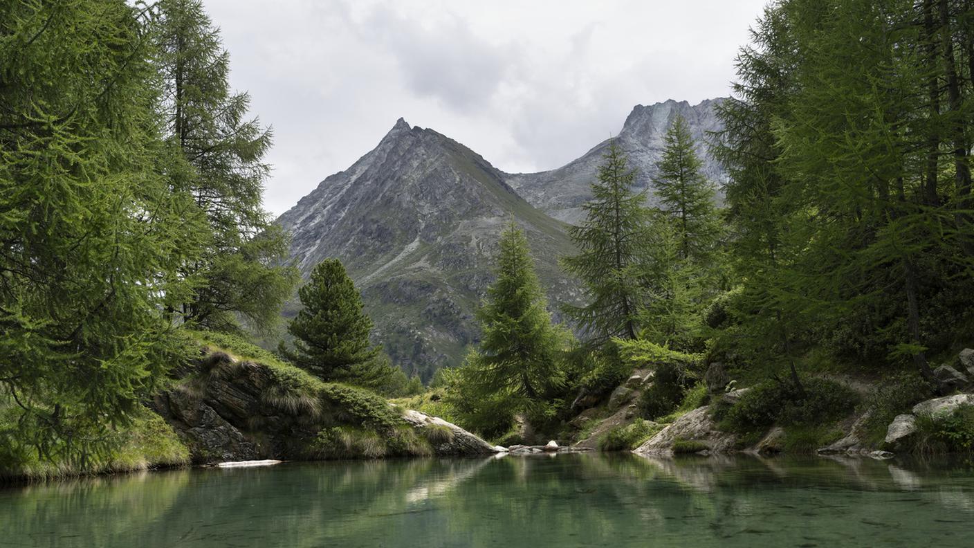 Arolla
