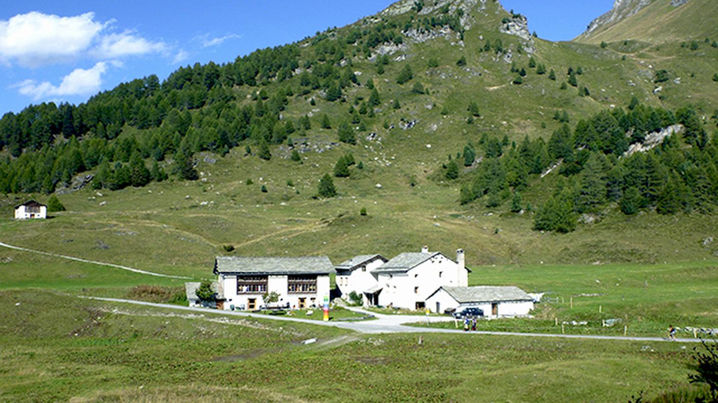 La Salecina