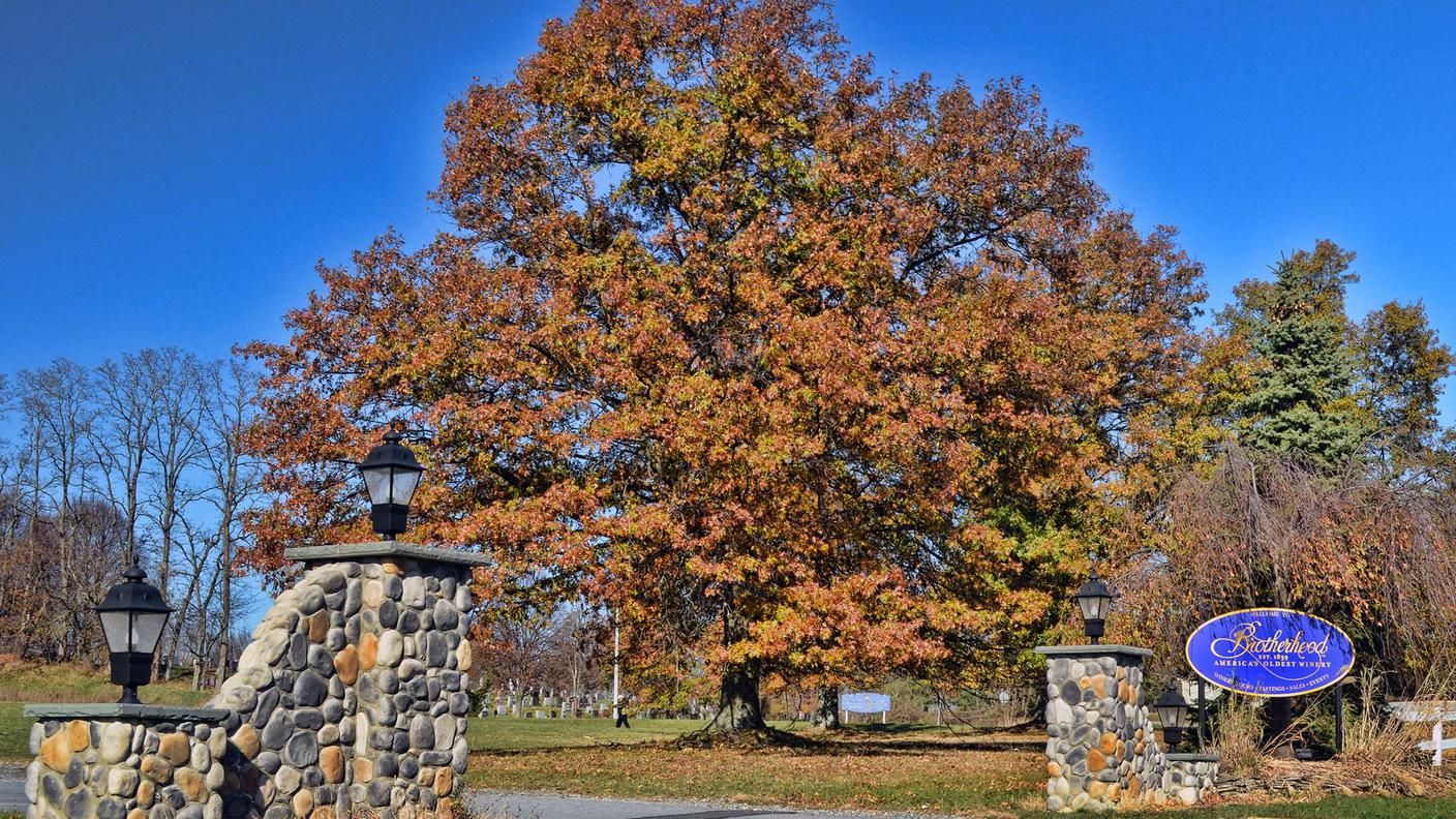 Washingtonville Brotherhood Winery
