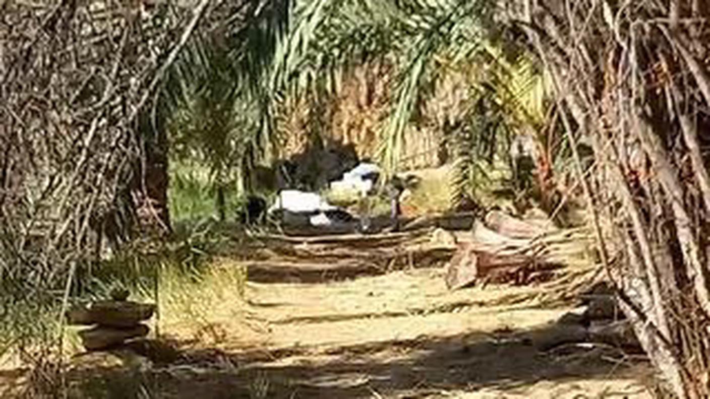 Oasi di Siwa, Egitto