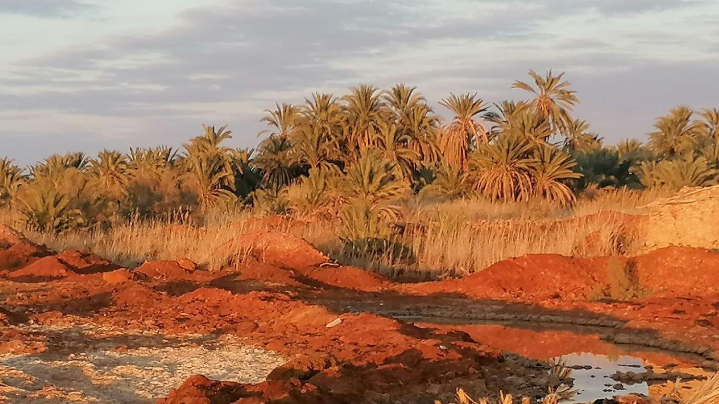 Oasi di Siwa, Egitto