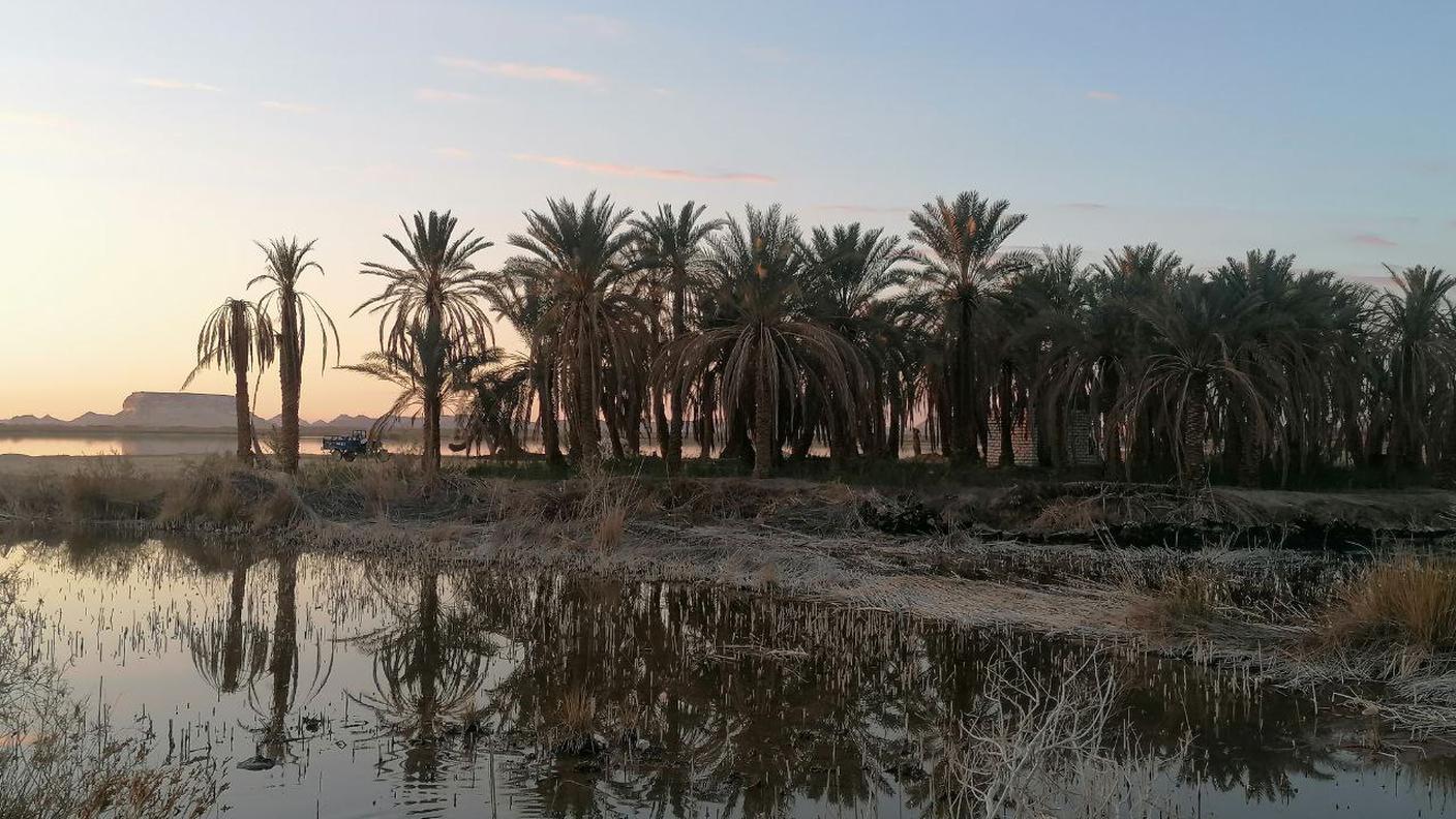 Oasi di Siwa, Egitto