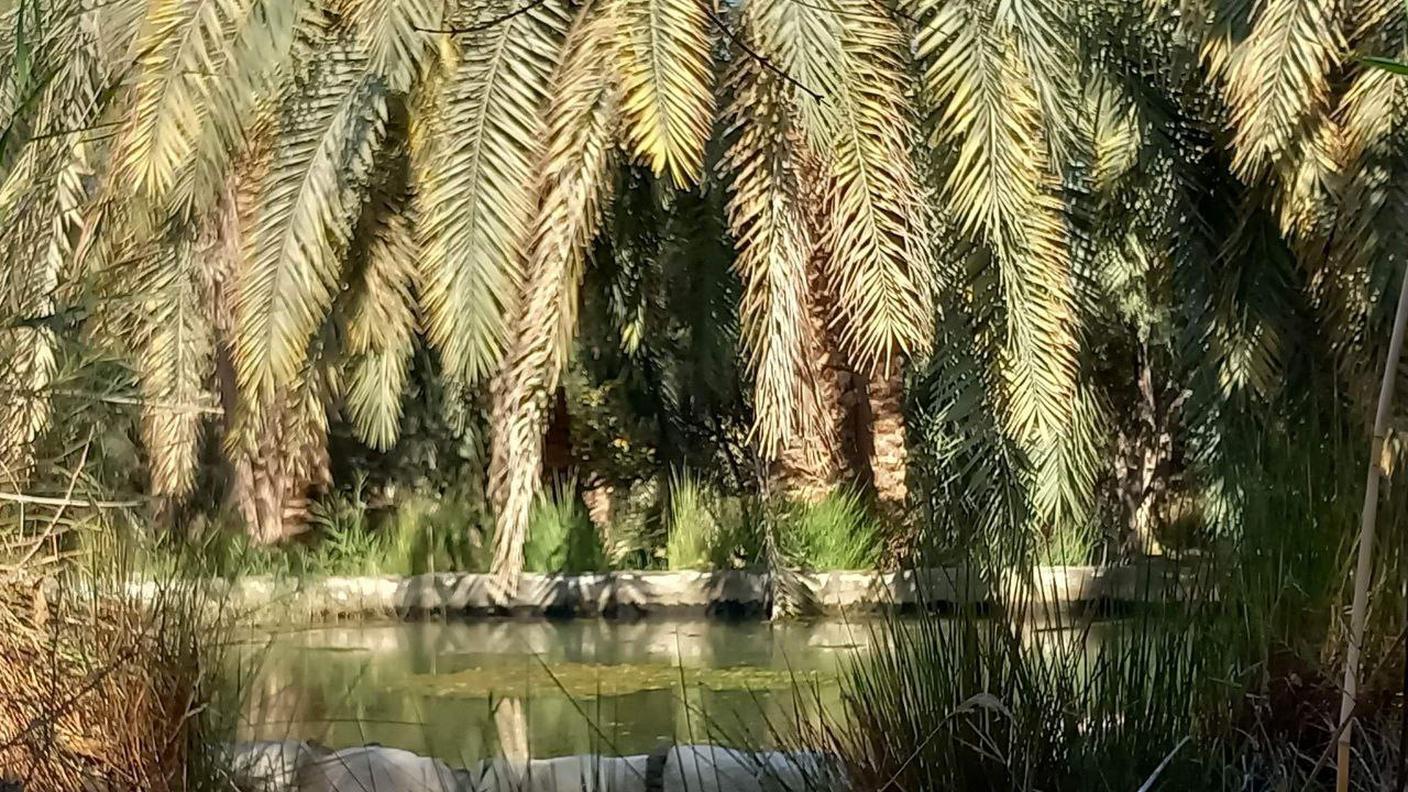 Oasi di Siwa, Egitto