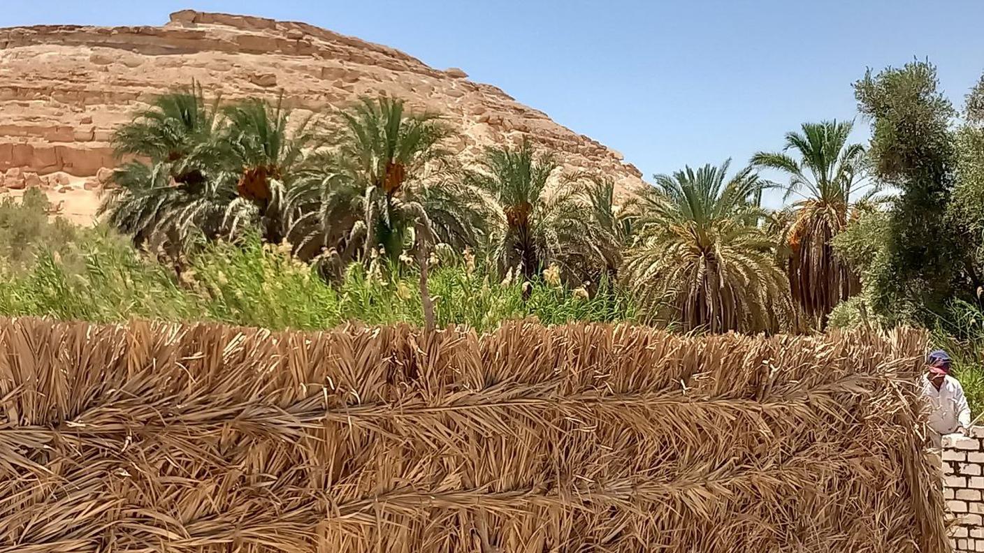 Oasi di Siwa, Egitto
