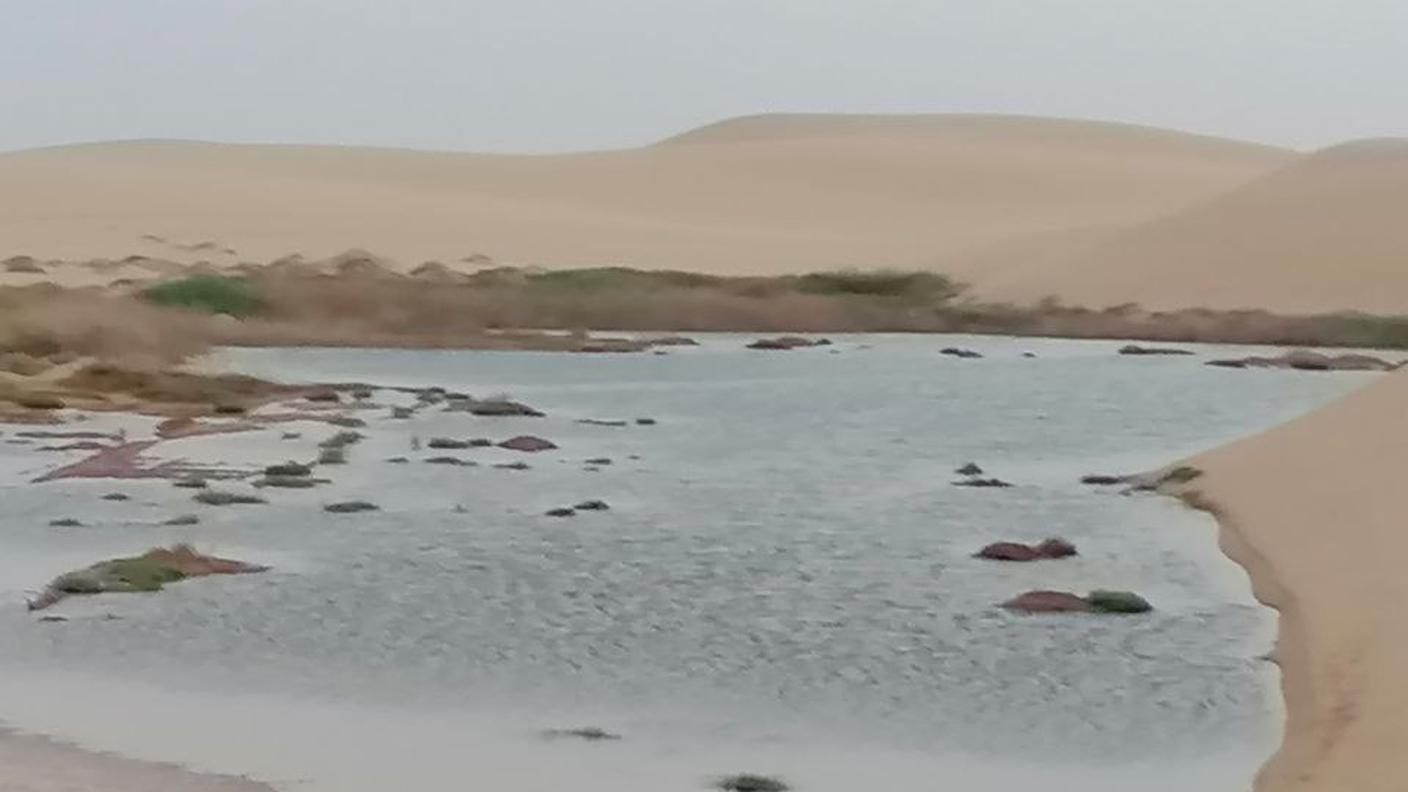 Oasi di Siwa, Egitto