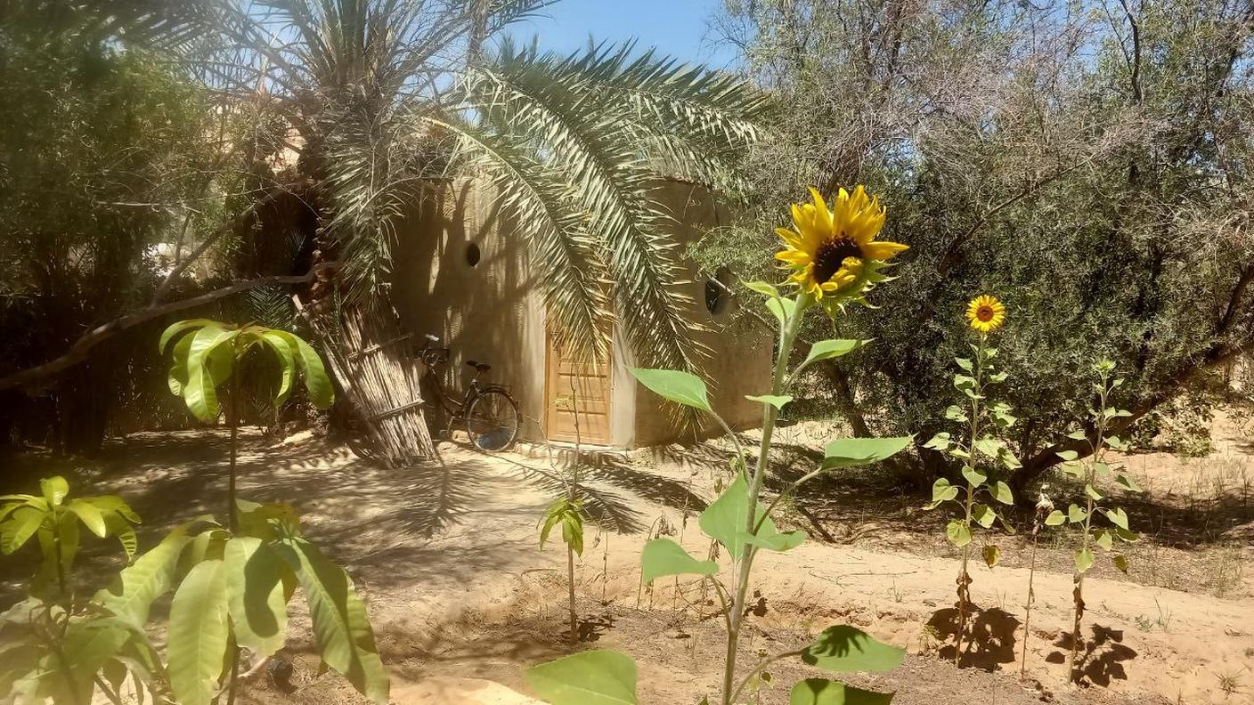 Oasi di Siwa, Egitto