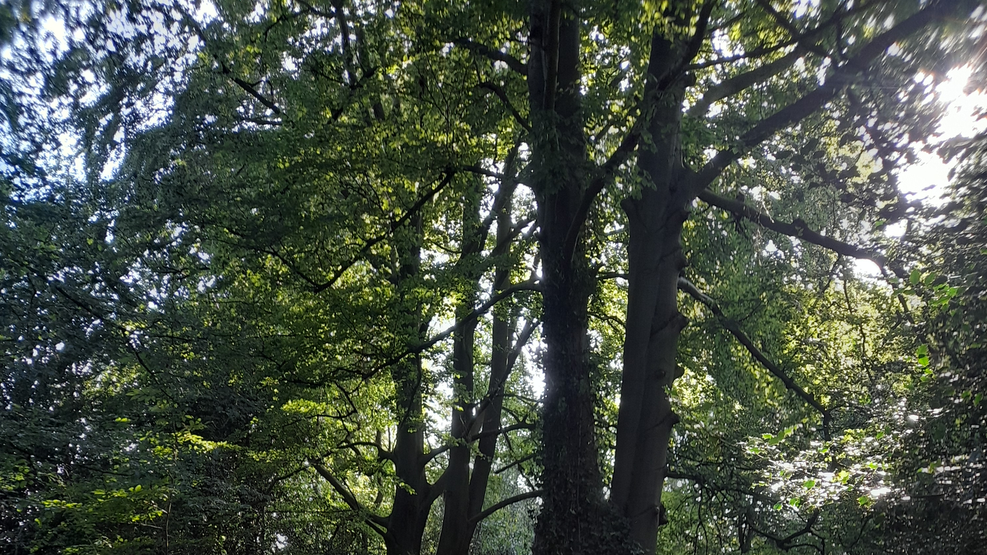 Golders Green, parco vicino casa