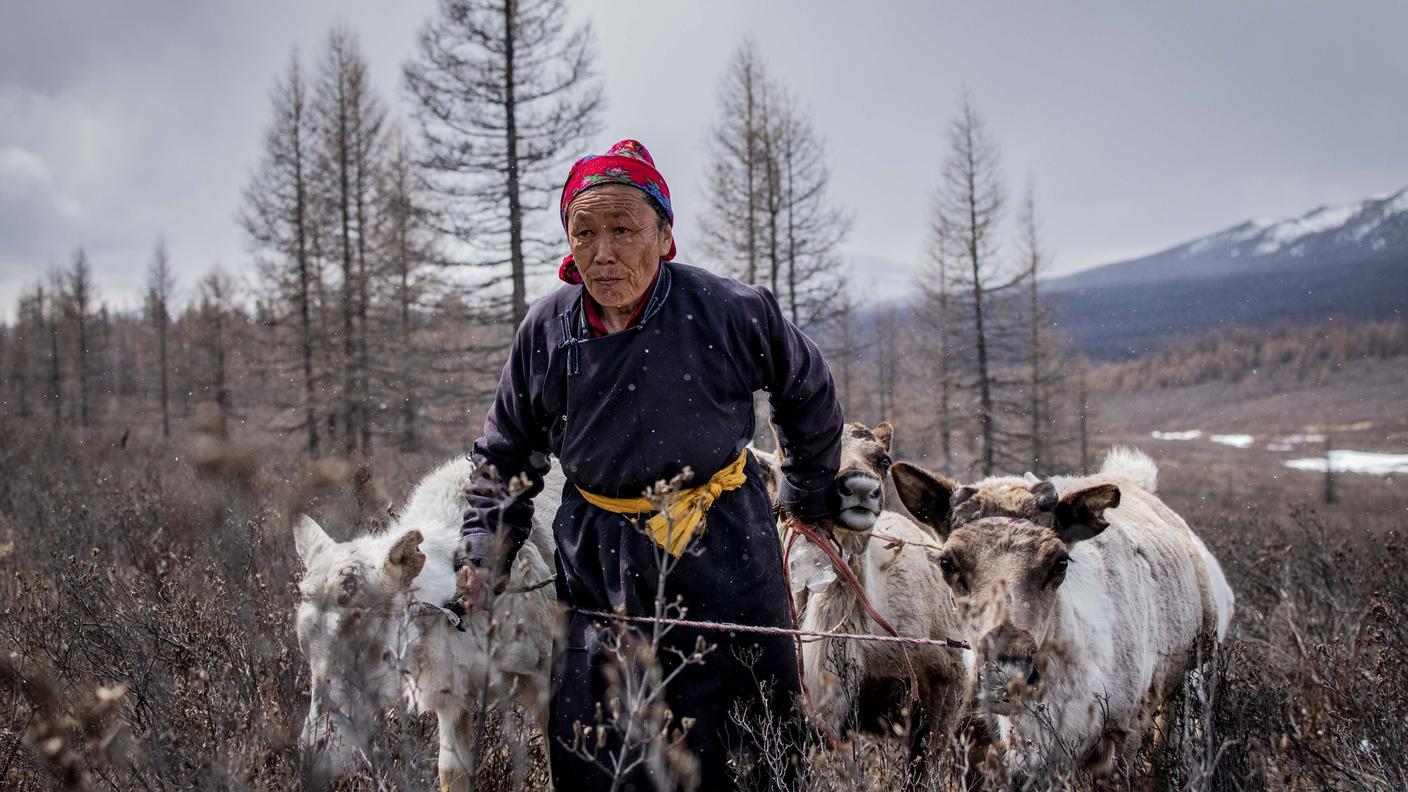 Pastori nomadi di renne, del gruppo etnico Tsaatan (Mongolia)