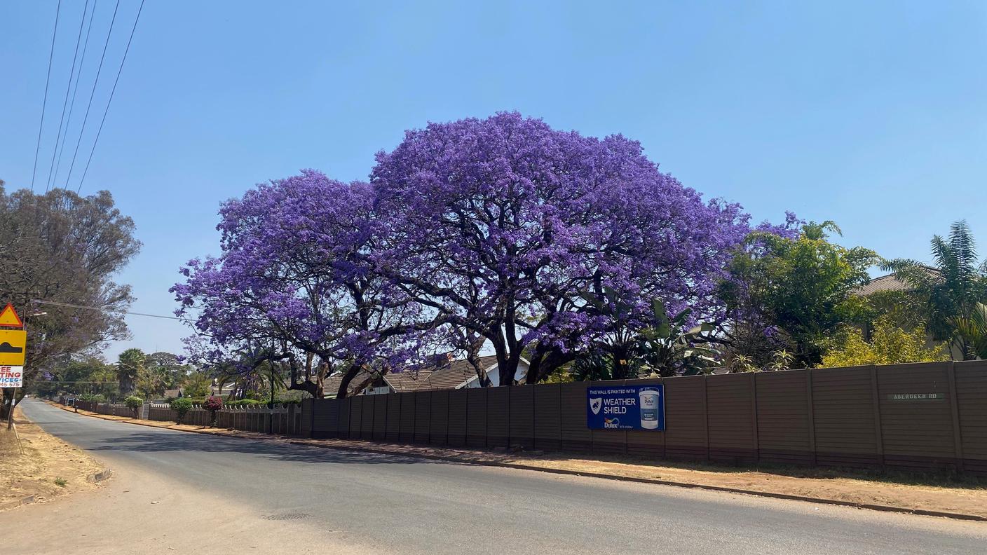 Zimbabwe