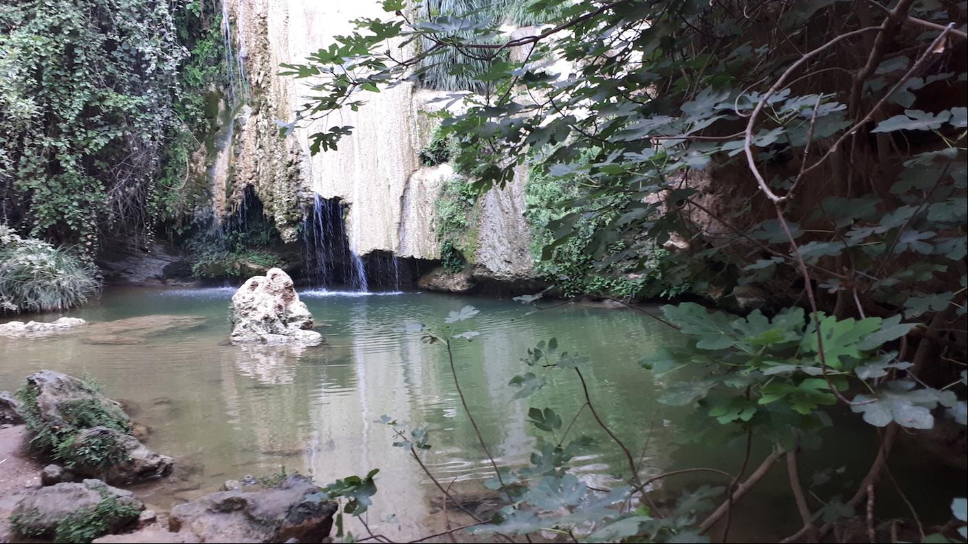 Cascate-Stenosia
