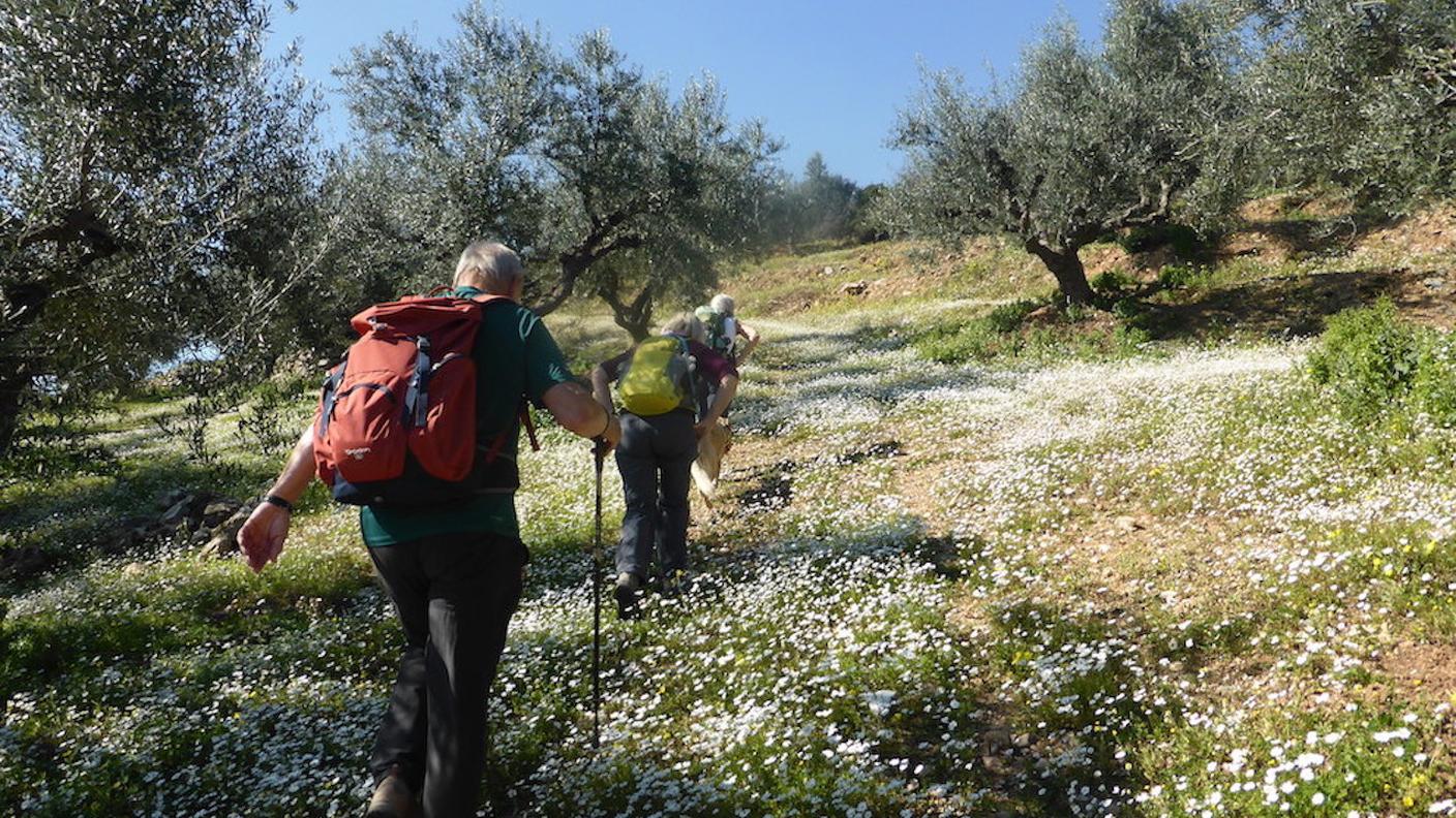 Camminare tra le margherite in inverno