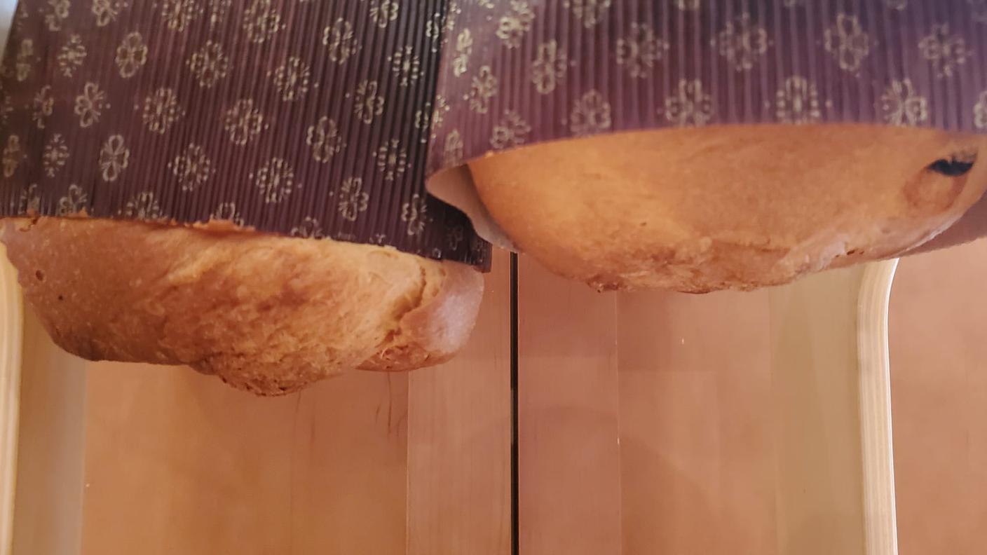 I miei panettoni mentre si raffreddano