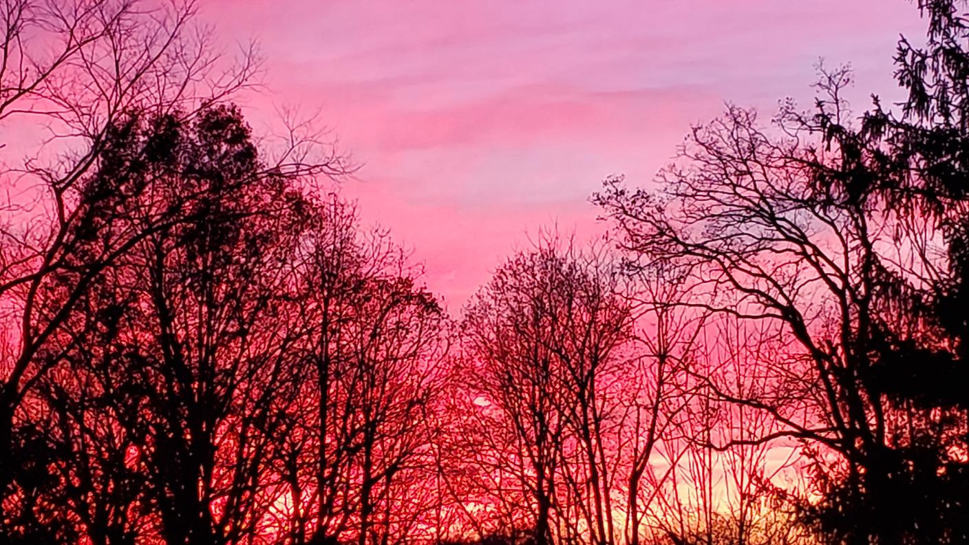 Princeton (New Jersey)