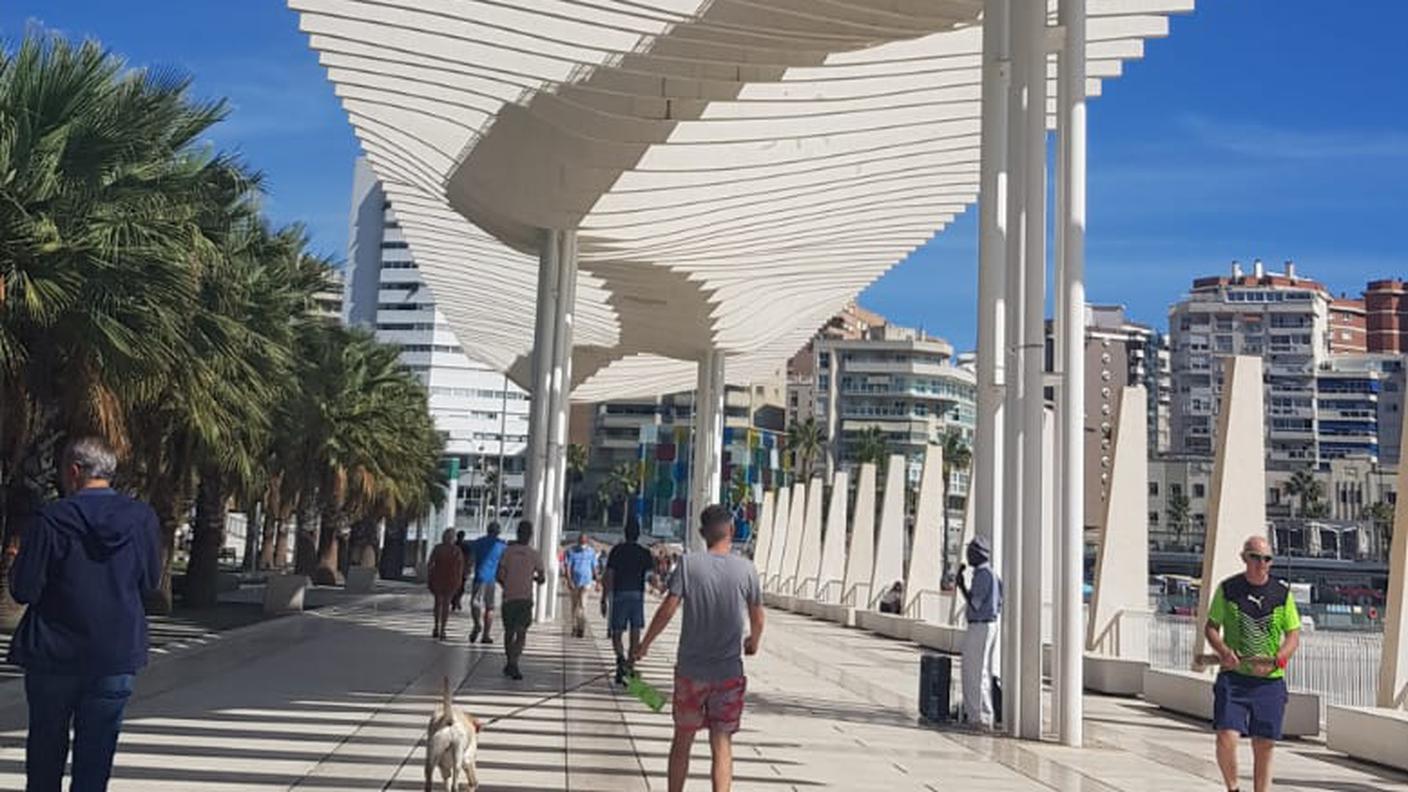 Palmeral de Las Sorpresas, Malaga.jfif
