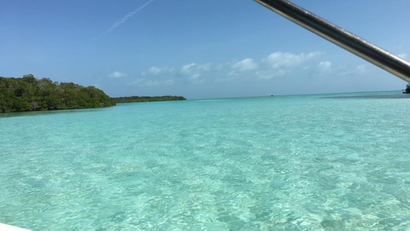 Il mare in Venezuela, Isola de los Roques