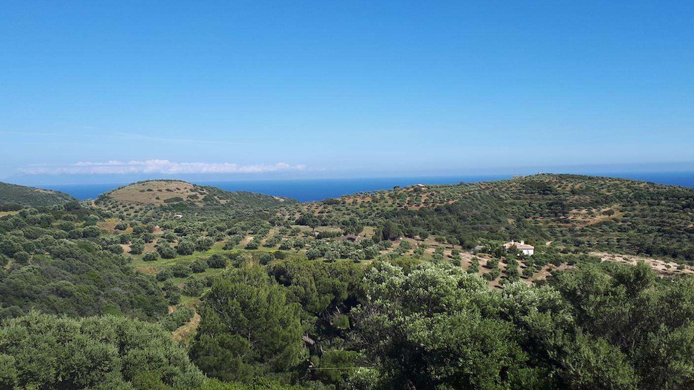 Natura attorno a casa